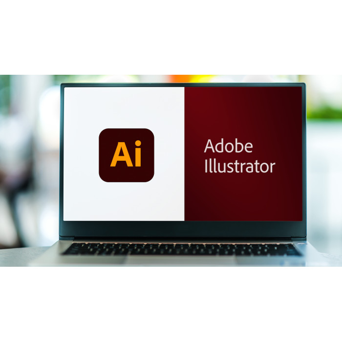 Профессиональная удалённая установка Adobe Illustrator с активацией