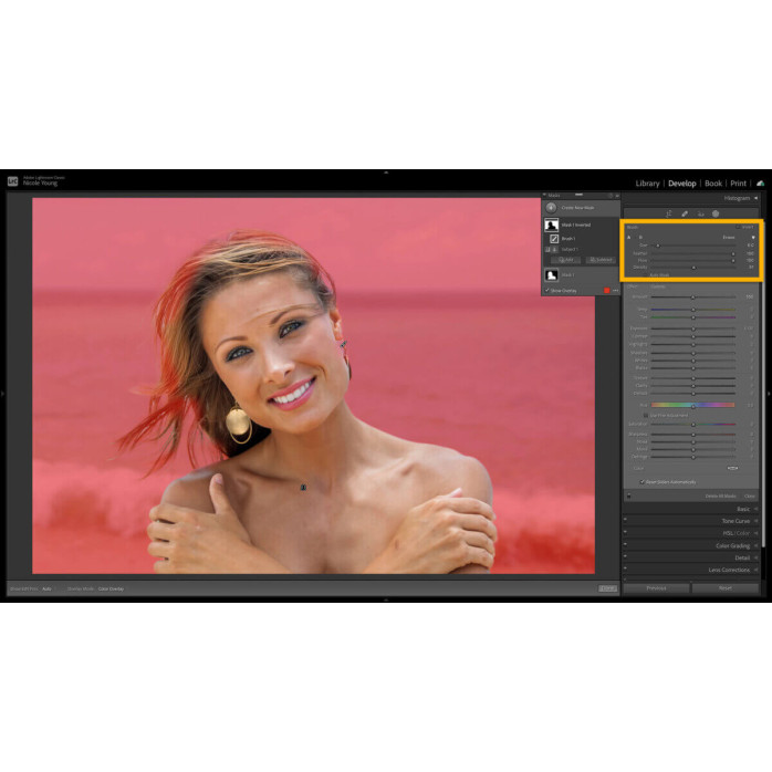 Установка Portraiture для Adobe Lightroom Classic
