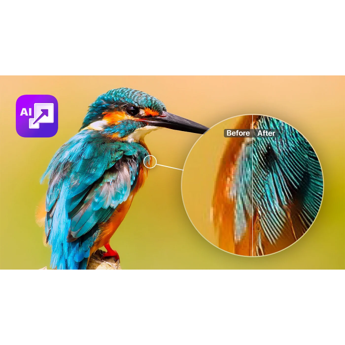 Установка ON1 Resize AI