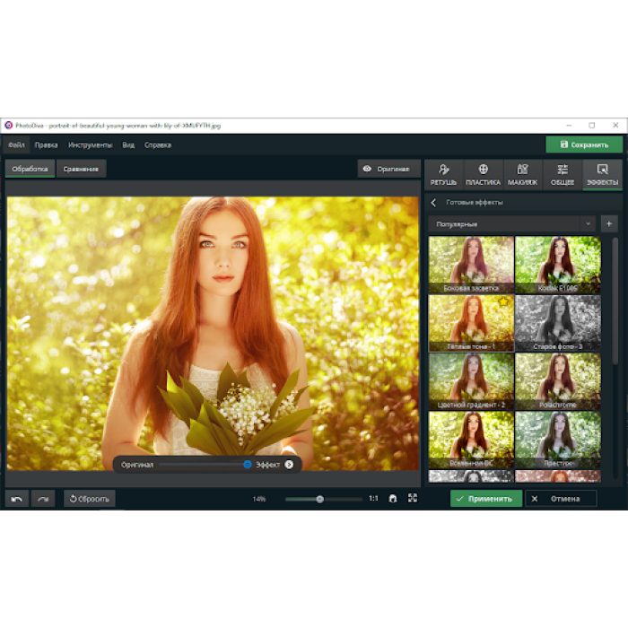Установка PhotoDiva Pro