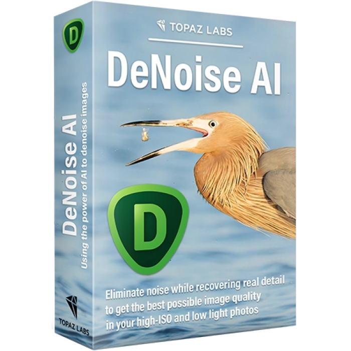 Удаленная установка Topaz DeNoise AI