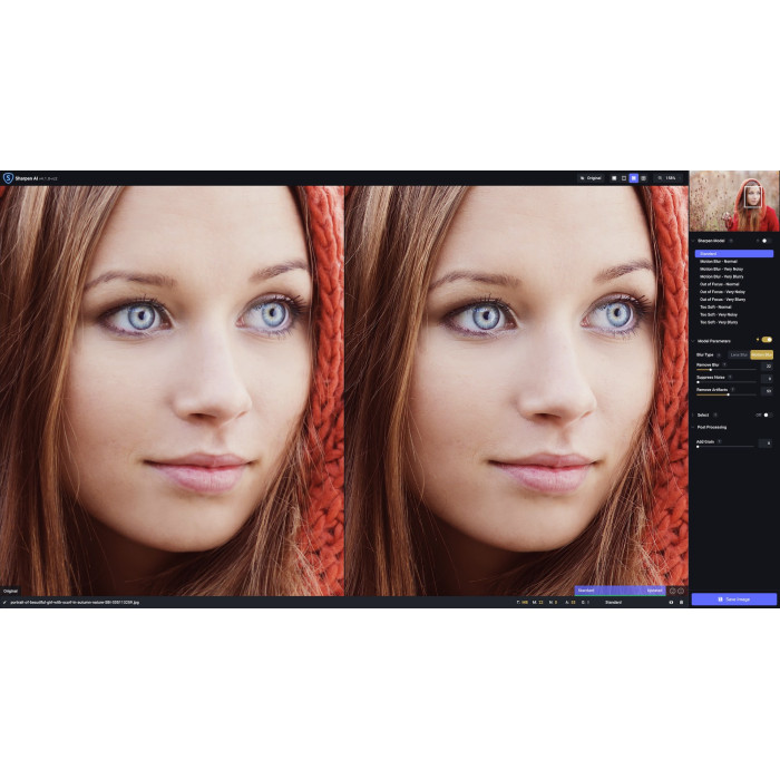 Установка Topaz Sharpen AI