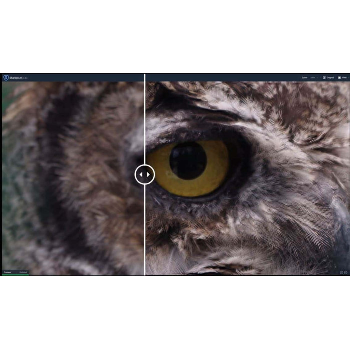 Дистанционная установка Topaz Photo AI