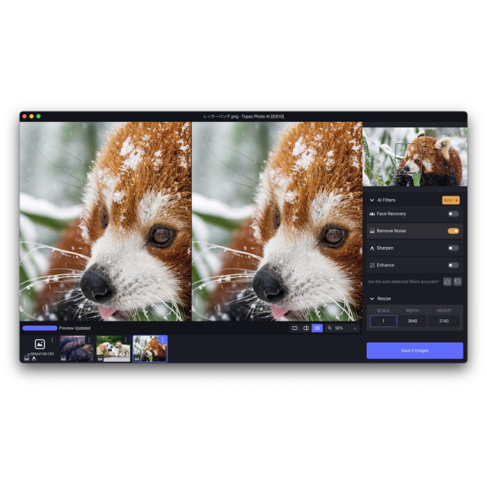 Дистанционная установка Topaz Photo AI