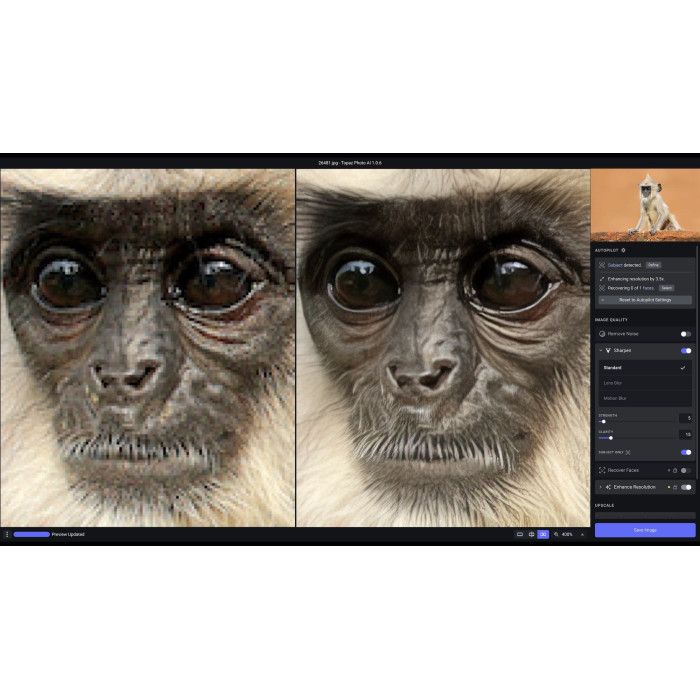 Дистанционная установка Topaz Photo AI
