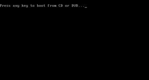 «Press any key to boot from CD or DVD»