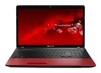 Ремонт ноутбука Packard Bell EasyNote TS13 Intel