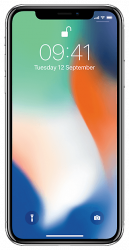 Заміна дисплея (екрана) Apple iPhone X (10)
